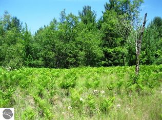 6680 W Sharon Rd SW, Fife Lake, MI 49633