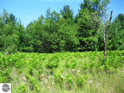 6680 W Sharon Rd SW, Fife Lake, MI, 49633