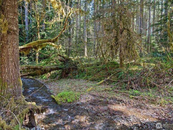 2144 Cispus Road, Randle, WA 98377