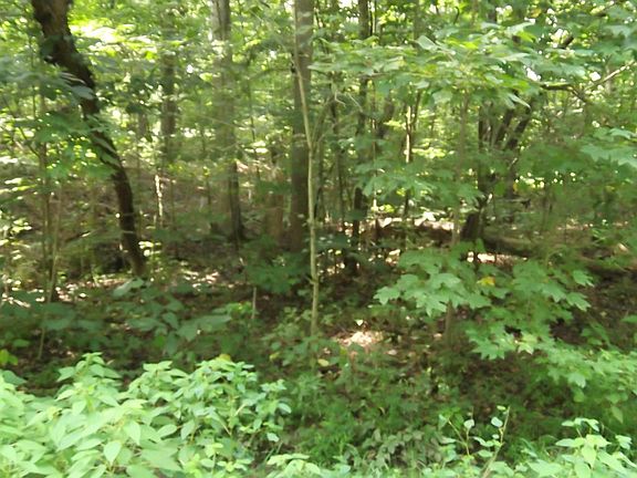 2nd image of Deer Creek Trl