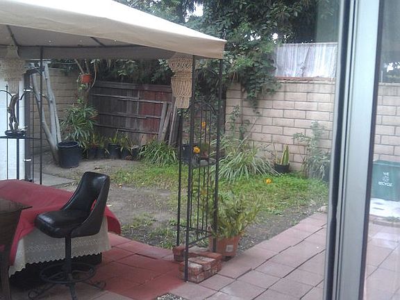 View of backyard