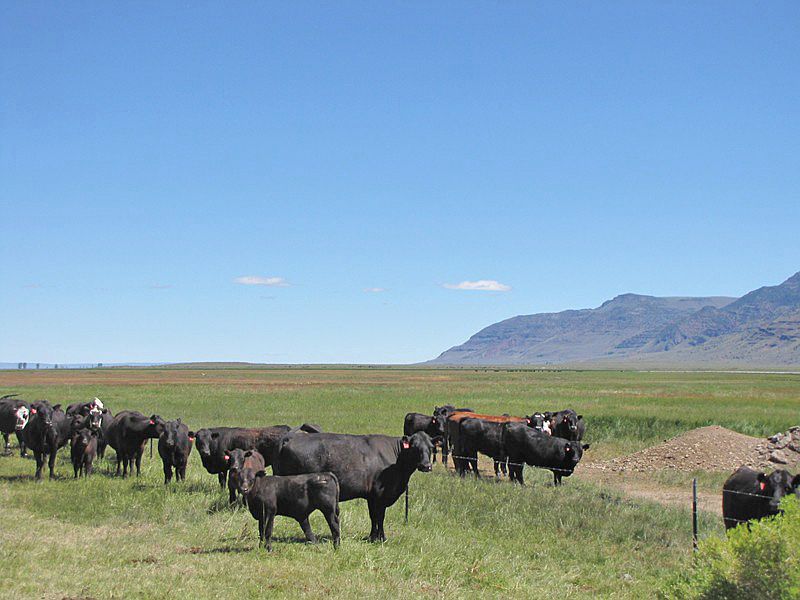 26277 Plush Adel Rd, Plush, OR 97637 Zillow