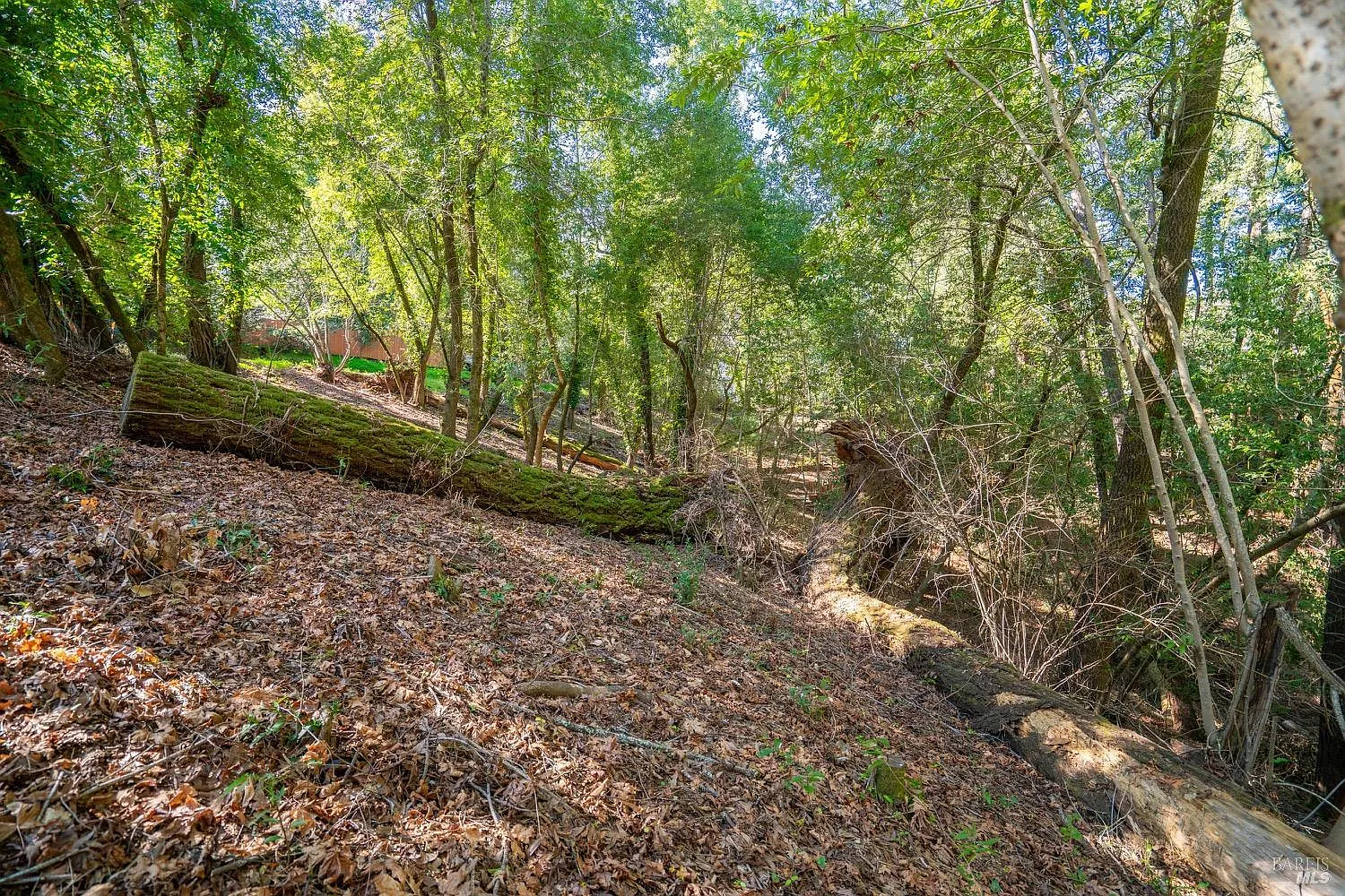 10612 Canyon Road - Photo 10