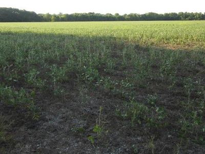 County Road 2, Granger, IN, 46530