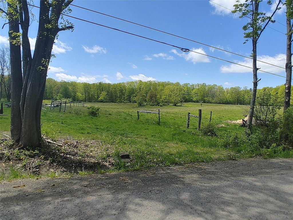 316 Buckley Hill Rd, Afton, NY 13730 Zillow