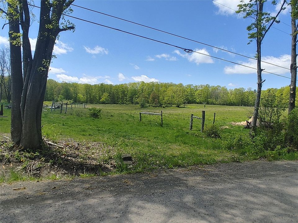 316 Buckley Hill Rd, Afton, NY 13730 Zillow