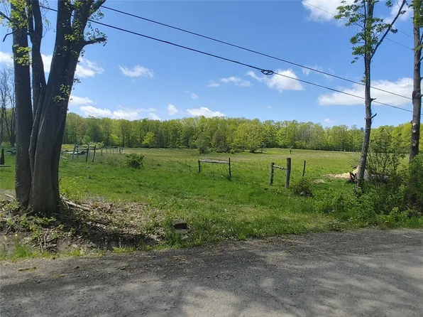 316 Buckley Hill Rd, Afton, NY 13730
