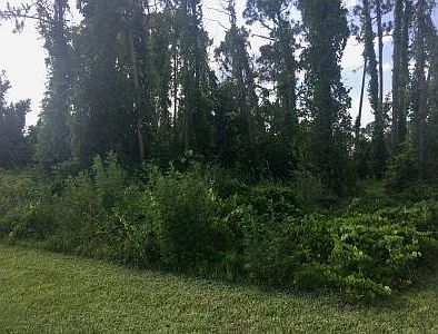 2nd image of 3007 Jacaranda Ave