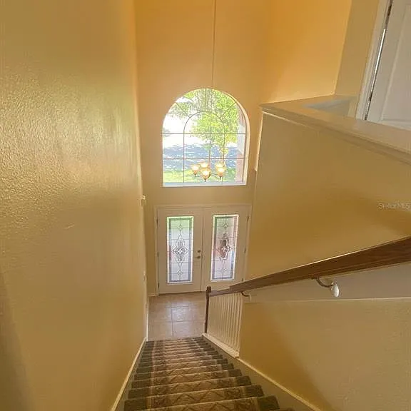 337 Bella Vida Blvd — Photo 31
