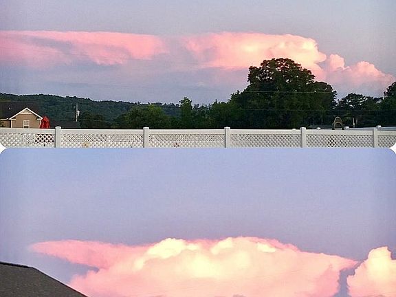 View from back porch 