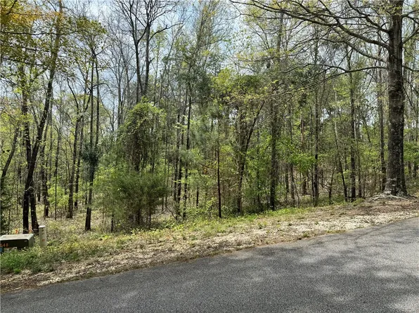 975 Lee Road 2159, Opelika, AL 36804
