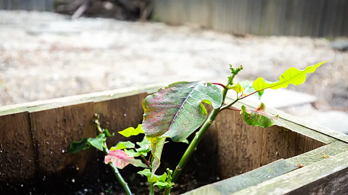 Rented by Nooklyn NYC LLC | media 24