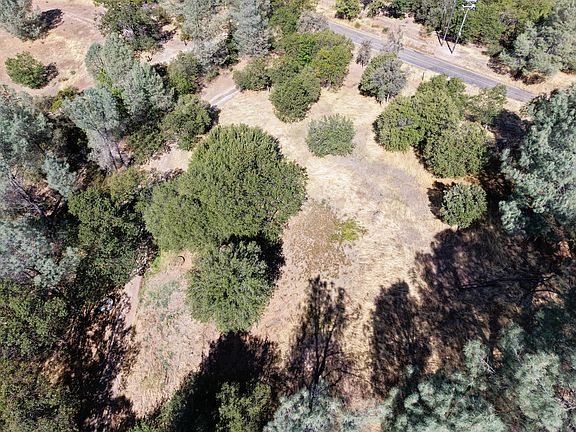 5th image of 31815 Forward Rd