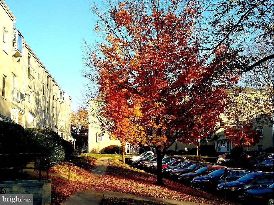 1st image of 2905 Willston Pl APT 201