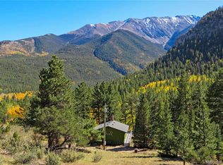 20601 County Road 306, Buena Vista, CO 81211