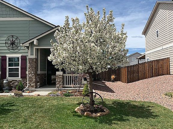 5th image of 10644 McGahan Dr
