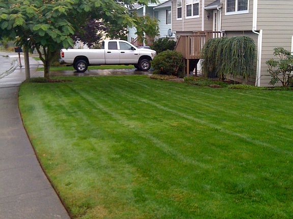 Front Yard
