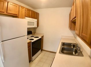 1613 Flynn Ln #D, Mount Pleasant, MI 48858