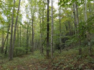 0 Black Oak Cove Rd, Candler, NC 28715