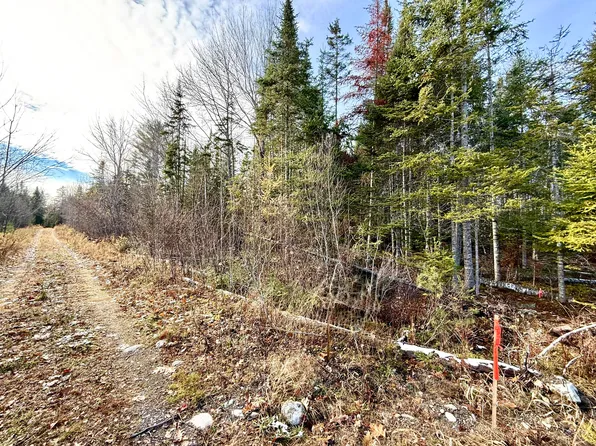 14-2 Hemlock Drive, Hudson, ME 04449