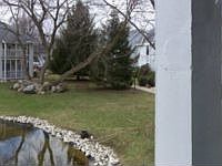1st image of 300 Foxwood Dr Unit 126