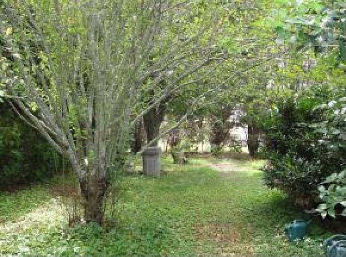 Private Yard