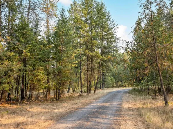 32XXC Roitz Rd, Valley, WA 99181