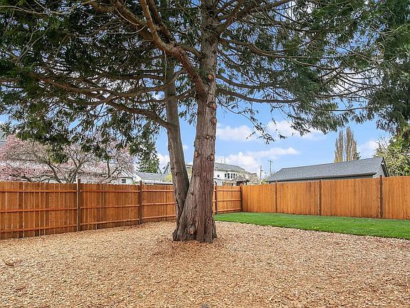 Fenced backyard
