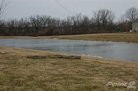 Pond view
