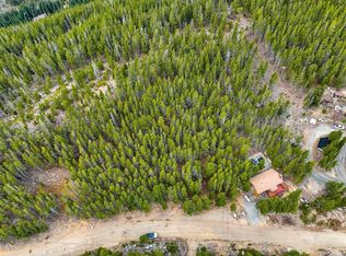 123 Silver Creek Rd, Idaho Springs, CO 80452