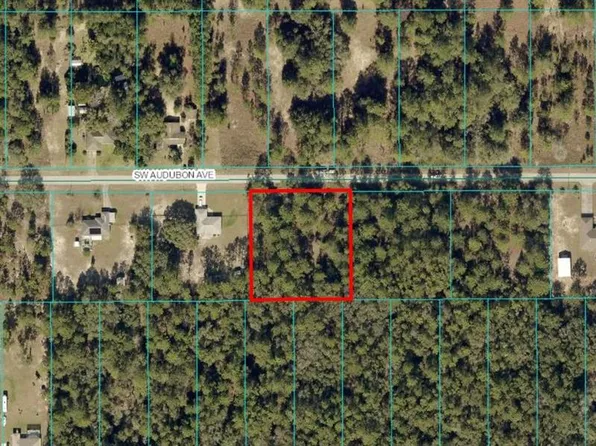 LOT 17 SW Audubon Ave Lot 17, Dunnellon, FL 34431
