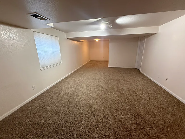 Basement Family Room