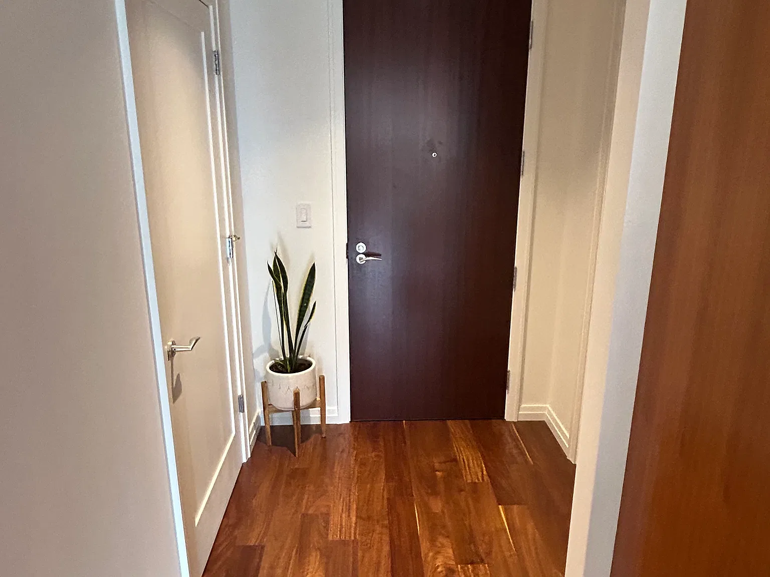 1 bed, 955 sqft, $3,500 — Photo 4