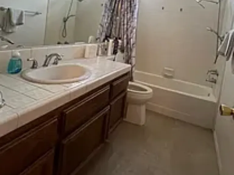 Hall bathroom full bath/shower