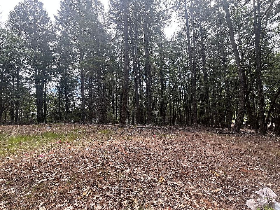1st image of 351 Upper Moore Gulch Rd
