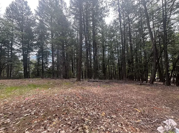 351 Upper Moore Gulch Rd, Trinity Center, CA 96091