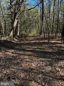 0 Public Landing Rd, Snow Hill, MD, 21863
