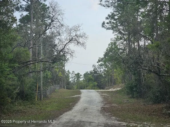 0 Colonel Ave, Webster, FL 33597