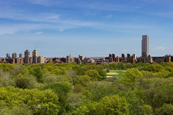 Sold by Douglas Elliman | media 14