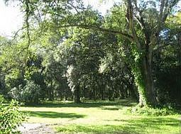 Home for Sale in Tampa, Florida $385,000