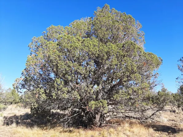 SE Tillamook Loop, Prineville, OR 97754