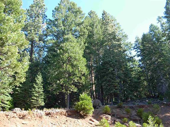 3rd image of 756 Lassen View Dr