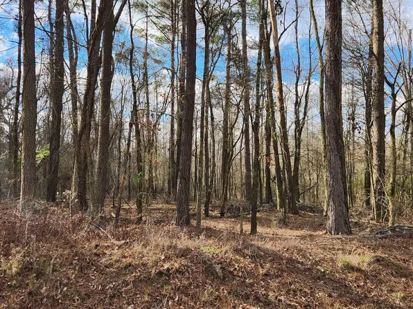 0 Arabian Rd, Star City, AR 71667