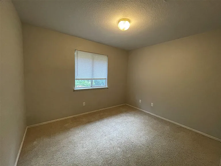 4524 Destinys Gate Dr — Photo 11