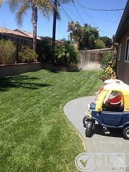 Back yard
