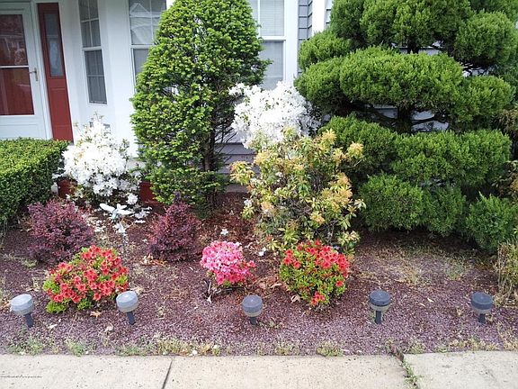 5th image of 1071A Buckingham Dr