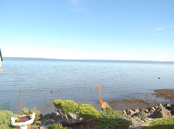 2nd image of 608 Chinook Ave SE