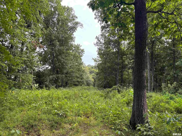 0 E Richview Rd, Mount Vernon, IL 62864