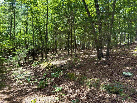 5th image of 0 Ember Rd