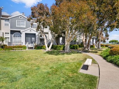 394 Genoa Dr, Redwood City, CA, 94065